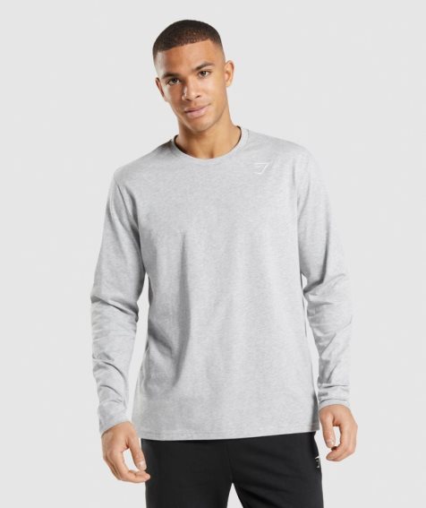 Men's Gymshark Crest Long Sleeve T-Shirts Light Grey | NZ 0BQSKP